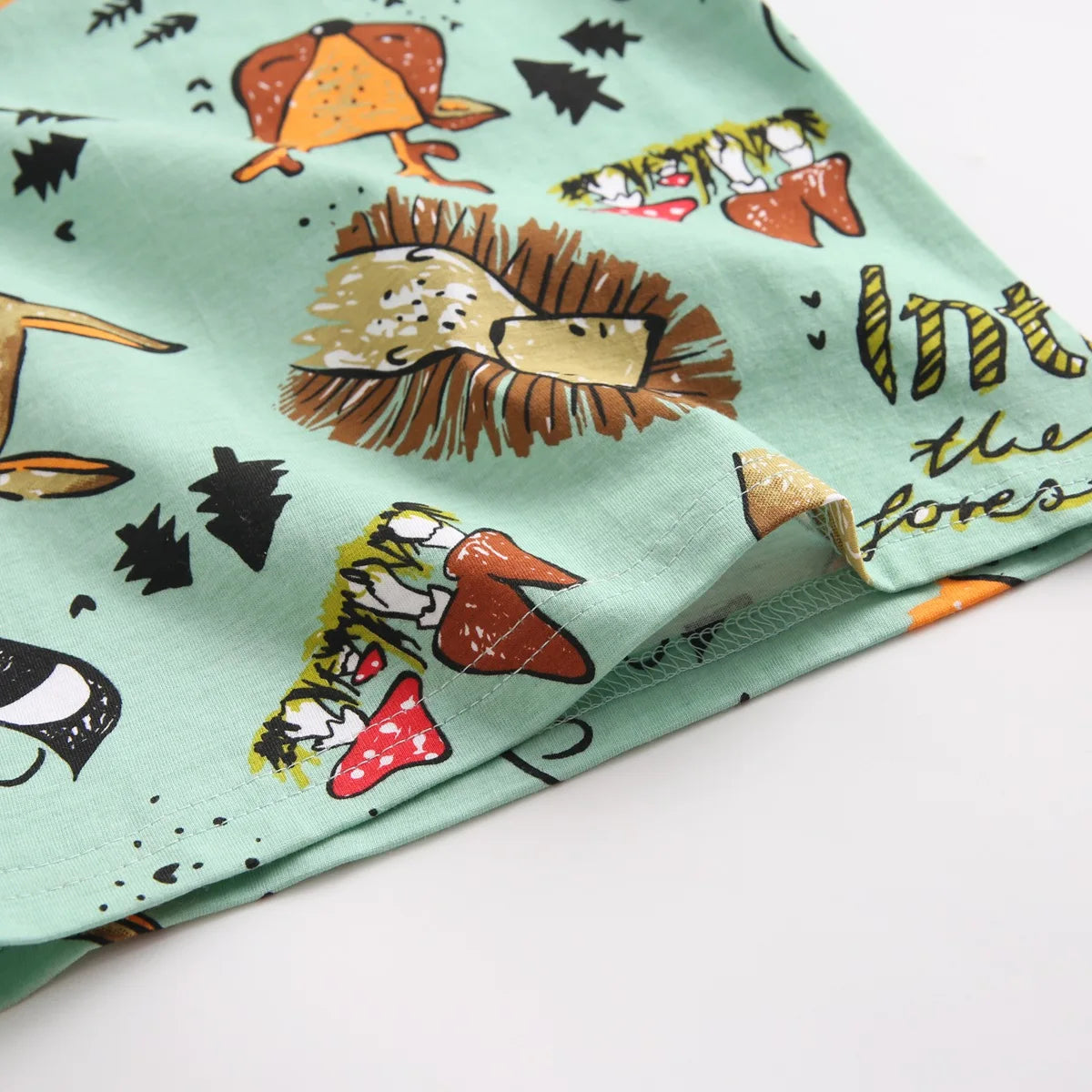 Sanlutoz Cartoon Boys Clothing Sets