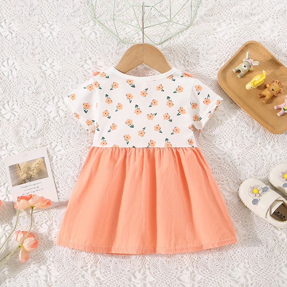 Baby Girl Cute Dress