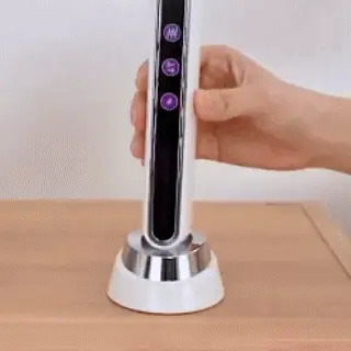 3-in-1 RF Facial Massager